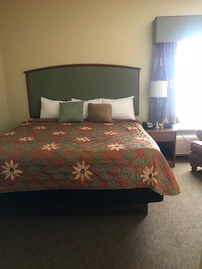 Randolph Inn And Suites Winchester 外观 照片